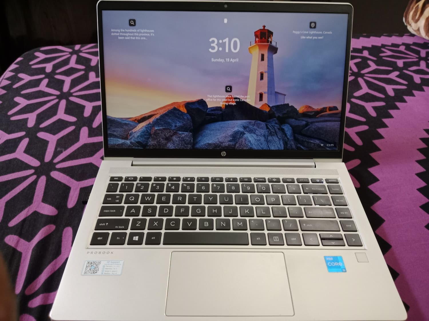 HP ProBook Core i5 11th Generation (licensed window with key)